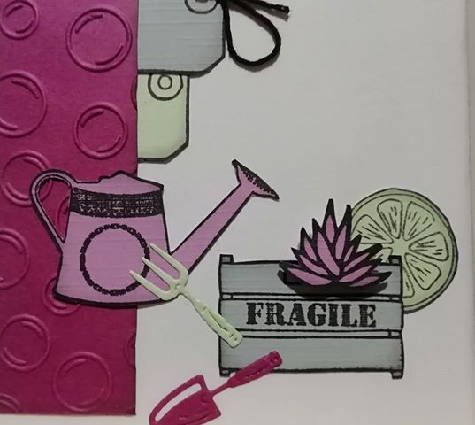 48368087_529286270913006_3967446013563633664_n