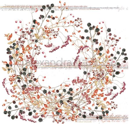 AR-10-1025_Alexandra-Renke_mures-baies_img