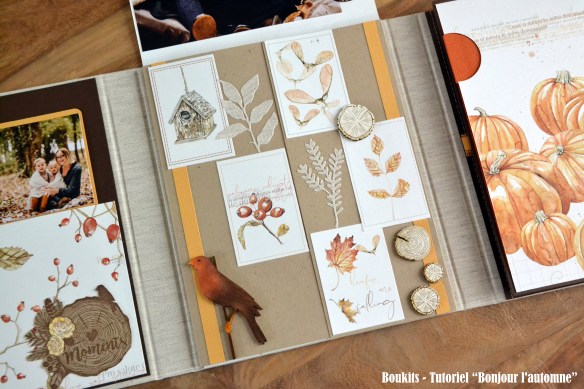 bonjour lautomne (12)