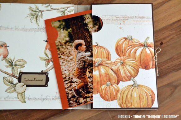 bonjour lautomne (22)