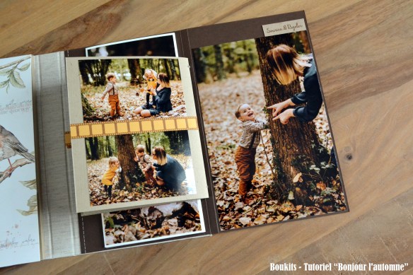 bonjour lautomne (28)