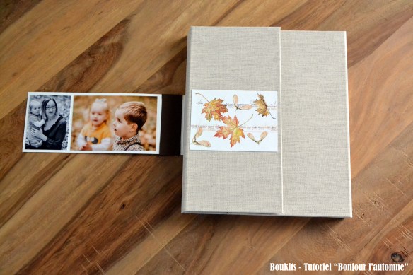 bonjour lautomne (3)