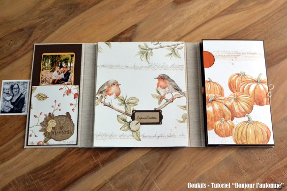 bonjour lautomne (8)