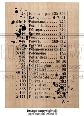 CF-BRO212_Chou-Flowers_texte-use_img