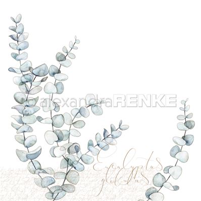 AR-10-1313_Alexandra-Renke_eucalyptus_img