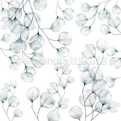 AR-10-1315_Alexandra-Renke_eucalyptus_img